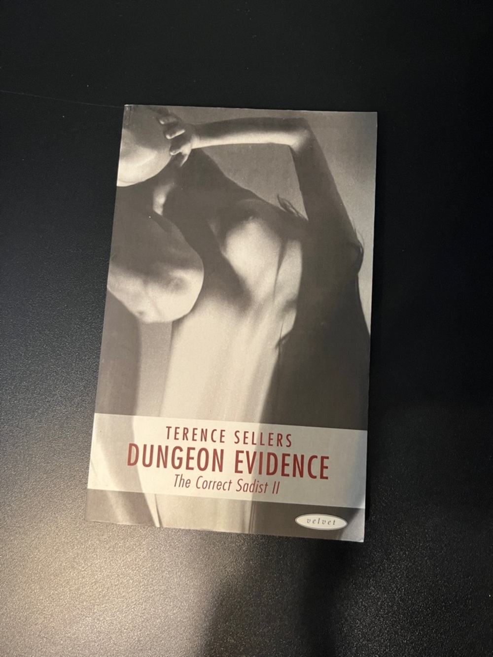 Dungeon Evidence by Terence Sellers